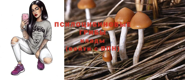 mdpv Липки