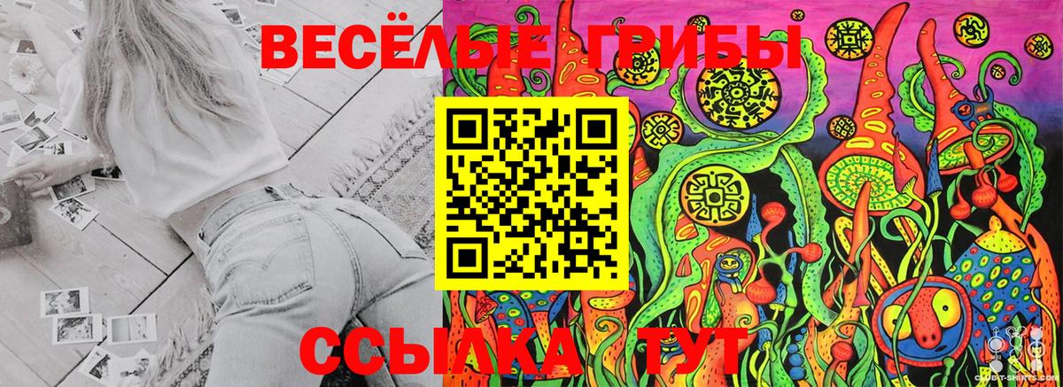 Галлюциногенные грибы MAGIC MUSHROOMS  Вход с VPN  Ханты-Мансийск  Псилоцибиновые грибы Psilocybe 