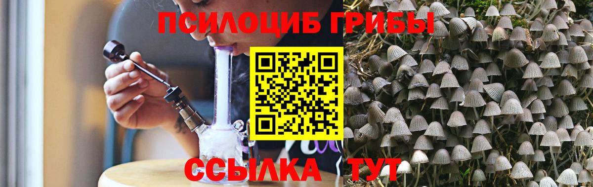Псилоцибиновые грибы прущие грибы Ханты-Мансийск